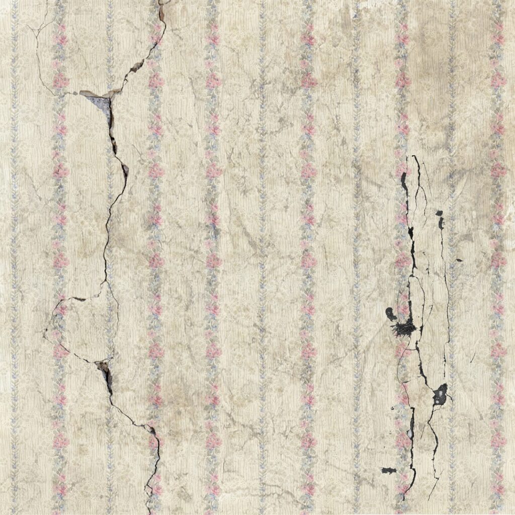 antique, broken, beautiful wallpaper, building, construction, damage, damaged, earthquake, facade, leak, mistake, mold, old, old house, pattern, real estate, repair, texture, vintage, wall, wallpaper, brown house, brown construction, brown wall, brown wallpaper, brown pattern