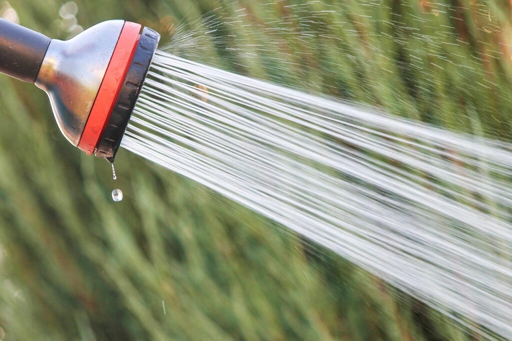 water jet, shower, garden shower, shower head, water, spühen, gardening, jet, water shower, hose shower, hose, garden hose, nature, hand shower, rain