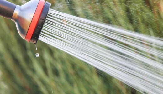 water jet, shower, garden shower, shower head, water, spühen, gardening, jet, water shower, hose shower, hose, garden hose, nature, hand shower, rain