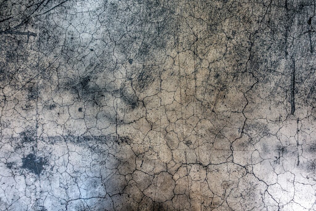 texture, grunge, fracture, cracked, crack, wall, painted, old, gray, gray texture, texture, texture, texture, texture, texture, grunge, grunge, wall