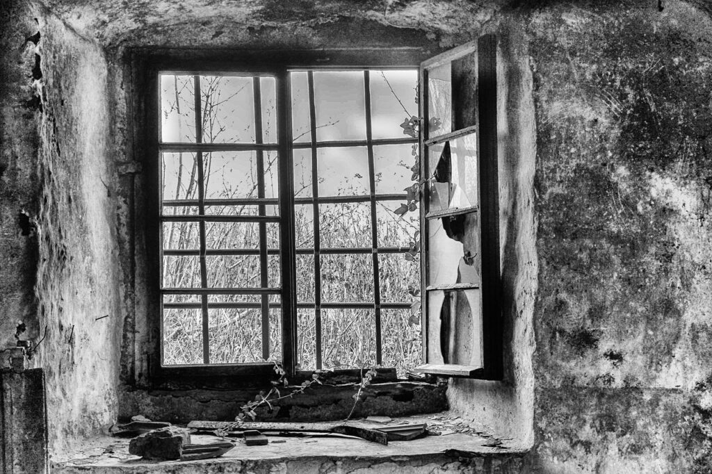 basement, basement, cellar, barred, expired, outlook, old building, old, dilapidated, shabby, bare, ruin, old window