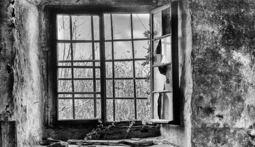 basement, basement, cellar, barred, expired, outlook, old building, old, dilapidated, shabby, bare, ruin, old window