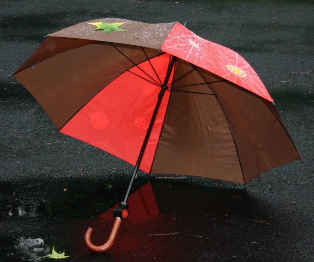 umbrella, rain, protection, rainy, weather, nature, waterproof, wet, outdoor