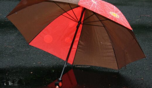 umbrella, rain, protection, rainy, weather, nature, waterproof, wet, outdoor