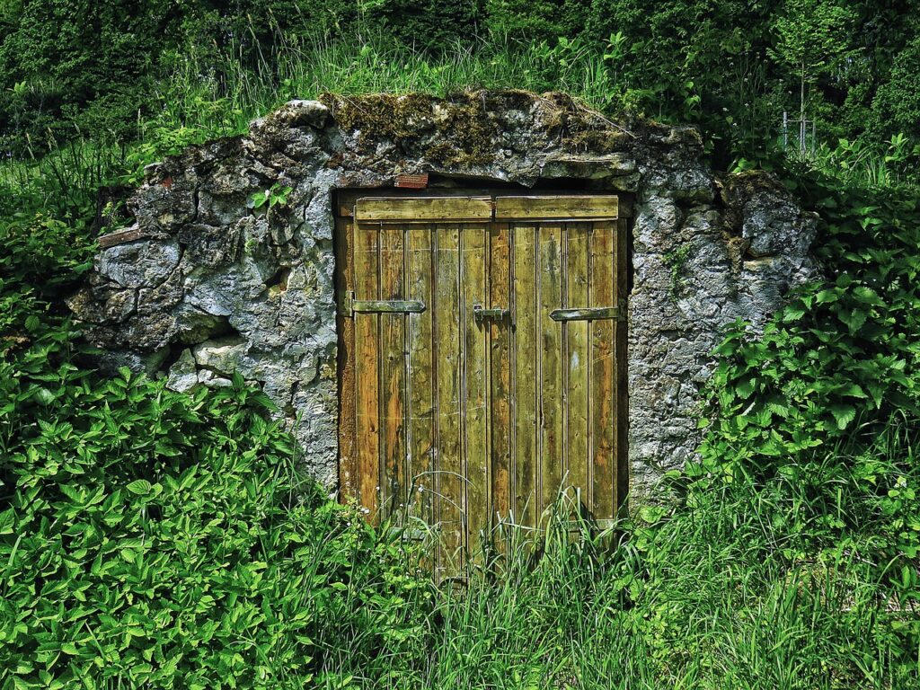 basement, cellar, storage cellar, wooden door, storage, natural cellar, stone wall, dry stone wall, masonry, stones, natural stones, nature, grass, wood