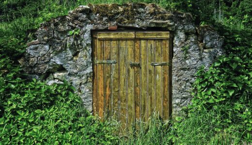 basement, cellar, storage cellar, wooden door, storage, natural cellar, stone wall, dry stone wall, masonry, stones, natural stones, nature, grass, wood