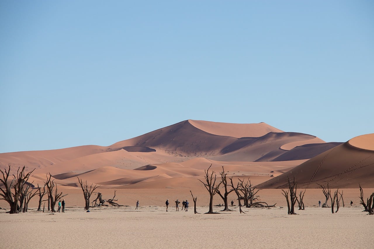 namibia, africa, nature, safari, desert, sand, deadvlei