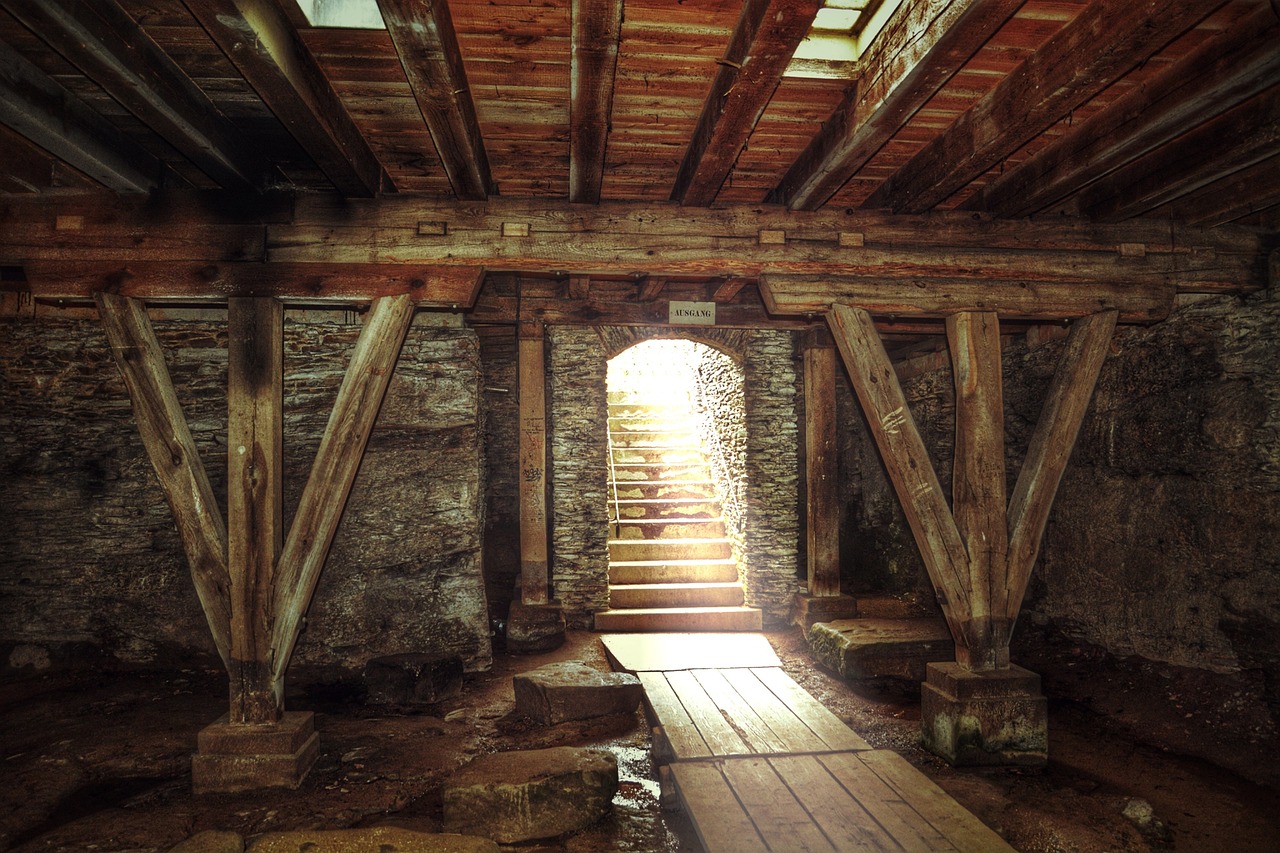 basement, cellar, ailing, old, stairs, expired, dilapidated, wooden beams, truss, cellar, cellar, cellar, cellar, cellar