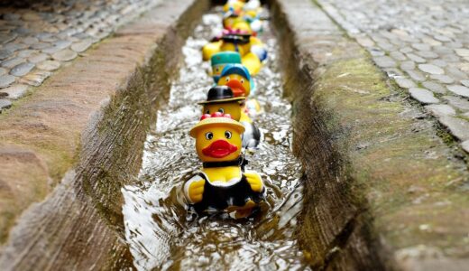 rubber duck, bath duck, toy, costume, bathing fun, rubber duck, rubber duck, rubber duck, rubber duck, toy, toy, toy, toy, toy