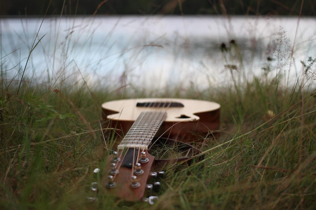 guitar, tacoma, nature, wp strings, grass