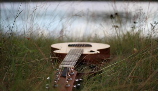 guitar, tacoma, nature, wp strings, grass