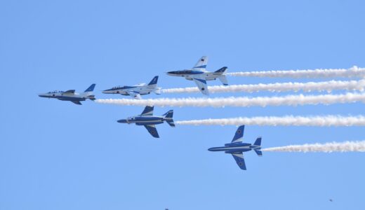 blue impulse, air festival, self defense