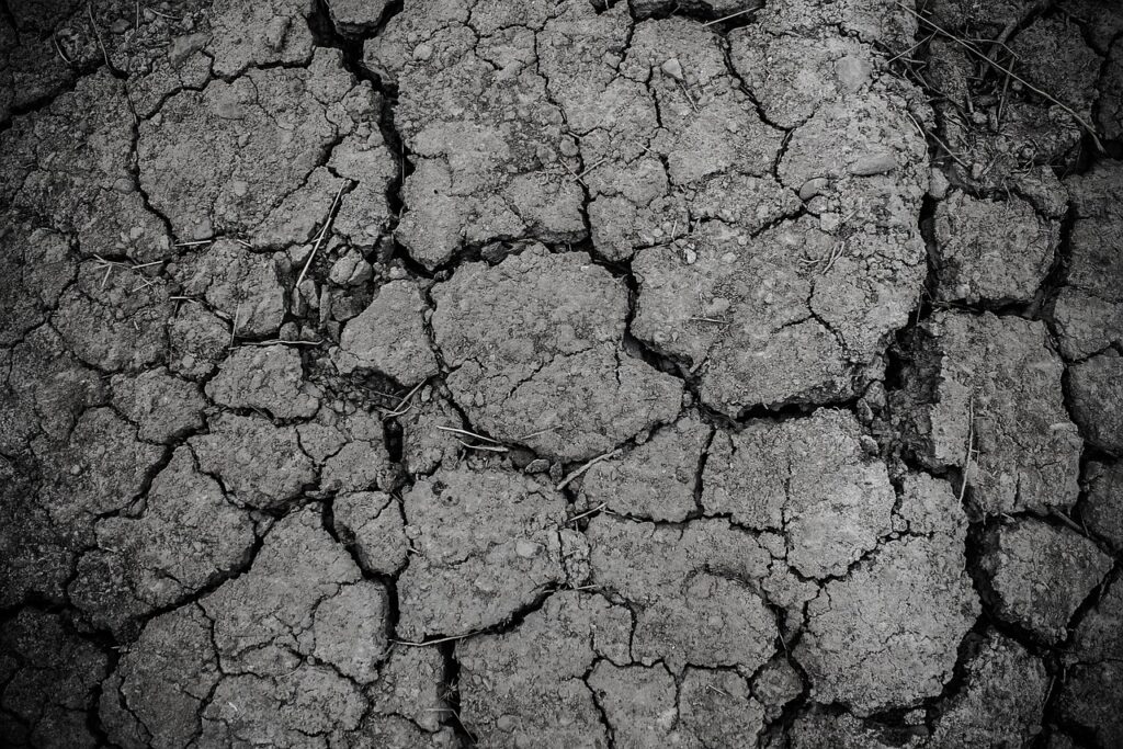 ground, gray, dirt, drought, arid, texture, land, dry, soil, crack, cracked, erosion, dirty, rough, desert, dust, nature, surface, clay, barren, gray texture, gray desert, monochrome, black and white
