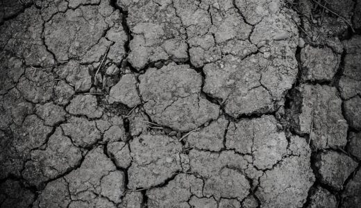 ground, gray, dirt, drought, arid, texture, land, dry, soil, crack, cracked, erosion, dirty, rough, desert, dust, nature, surface, clay, barren, gray texture, gray desert, monochrome, black and white