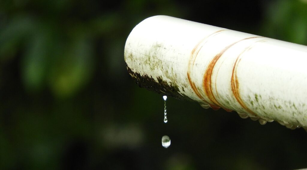 outdoors, leak, nature, rain, colombia