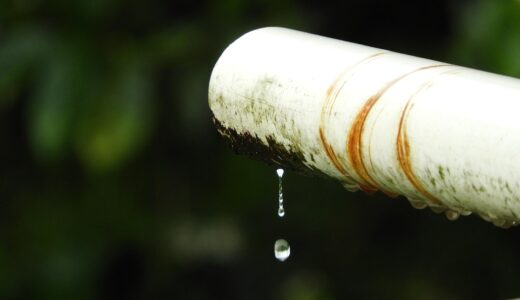 outdoors, leak, nature, rain, colombia