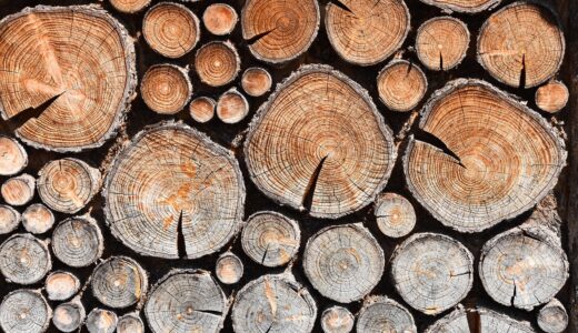 drink, stacking wood, wood stored, fire, wood grinding, wood for the fireplace
