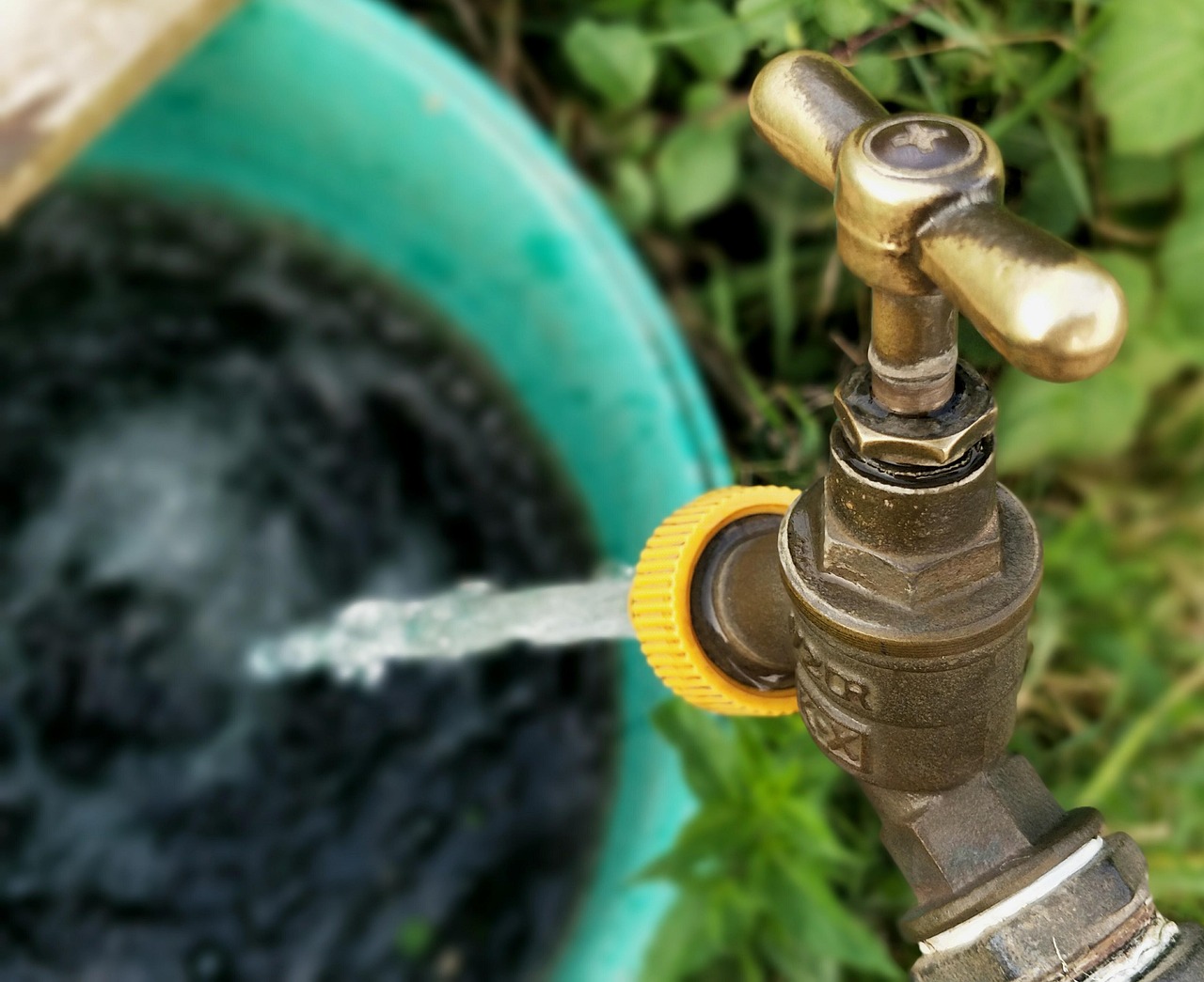 allotment, tap, nature, water, running, watering, leak, leaking