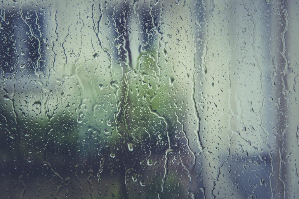 rain stoppers, wallpaper 4k, nature background, 4k wallpaper 1920x1080, water, desktop backgrounds, 4k wallpaper, window pane, beautiful wallpaper, drip, free wallpaper, drop of water, beautiful nature, wallpaper hd, free background, wet, fogging, condensation, mac wallpaper, window, rain, laptop wallpaper, spray, hd wallpaper, structure, liquid, nature wallpaper, transparent, nature, full hd wallpaper, moisture, windows wallpaper, wallpaper, cool backgrounds, zoom background
