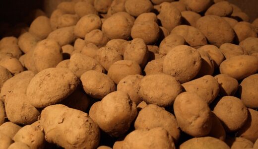 potatoes, basement, natural vegetables, eco food, potatoes, potatoes, potatoes, potatoes, potatoes