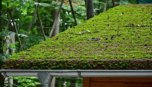 roof, brick, moss, roof panels, housetop, tile roof, house, old, architecture, abandoned, old building, roofing, gutter, metal, roof tiles, gutter, gutter, gutter, gutter, gutter