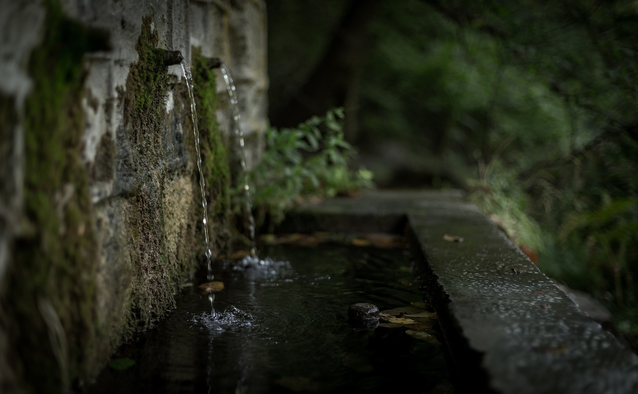 wall, water, drainage, blur, dark, nature, plant, drainage, drainage, drainage, drainage, drainage