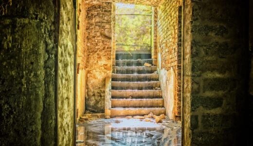 lost places, basement, cellar, stairs, mystical, old, nature, mood, grim, light, the shade, pforphoto, abandoned, water, puddle, ruin, dilapidated, shabby, decay, architecture, sun, shine, house, hidden, abandoned places