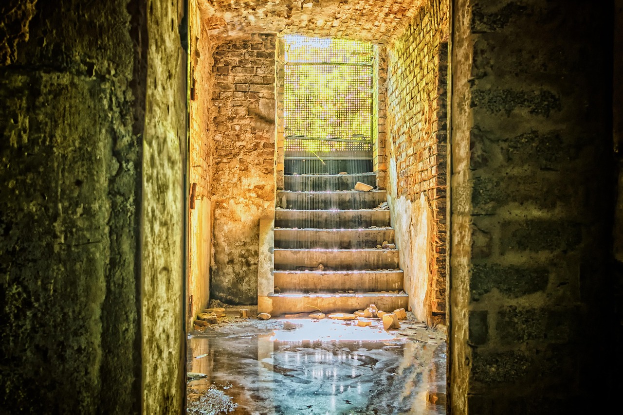 lost places, basement, cellar, stairs, mystical, old, nature, mood, grim, light, the shade, pforphoto, abandoned, water, puddle, ruin, dilapidated, shabby, decay, architecture, sun, shine, house, hidden, abandoned places