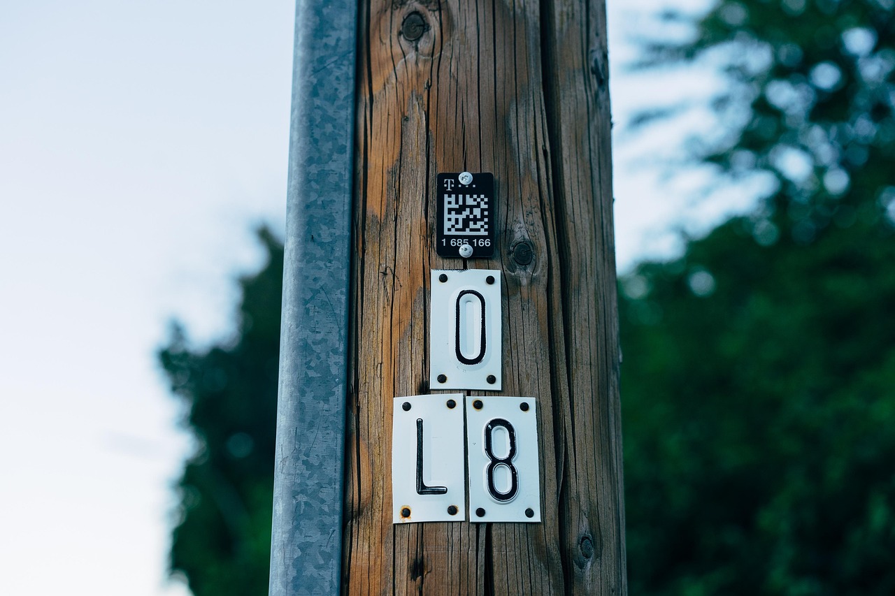 nature, wooden, qr code, botany, growth, qr code, qr code, qr code, qr code, qr code