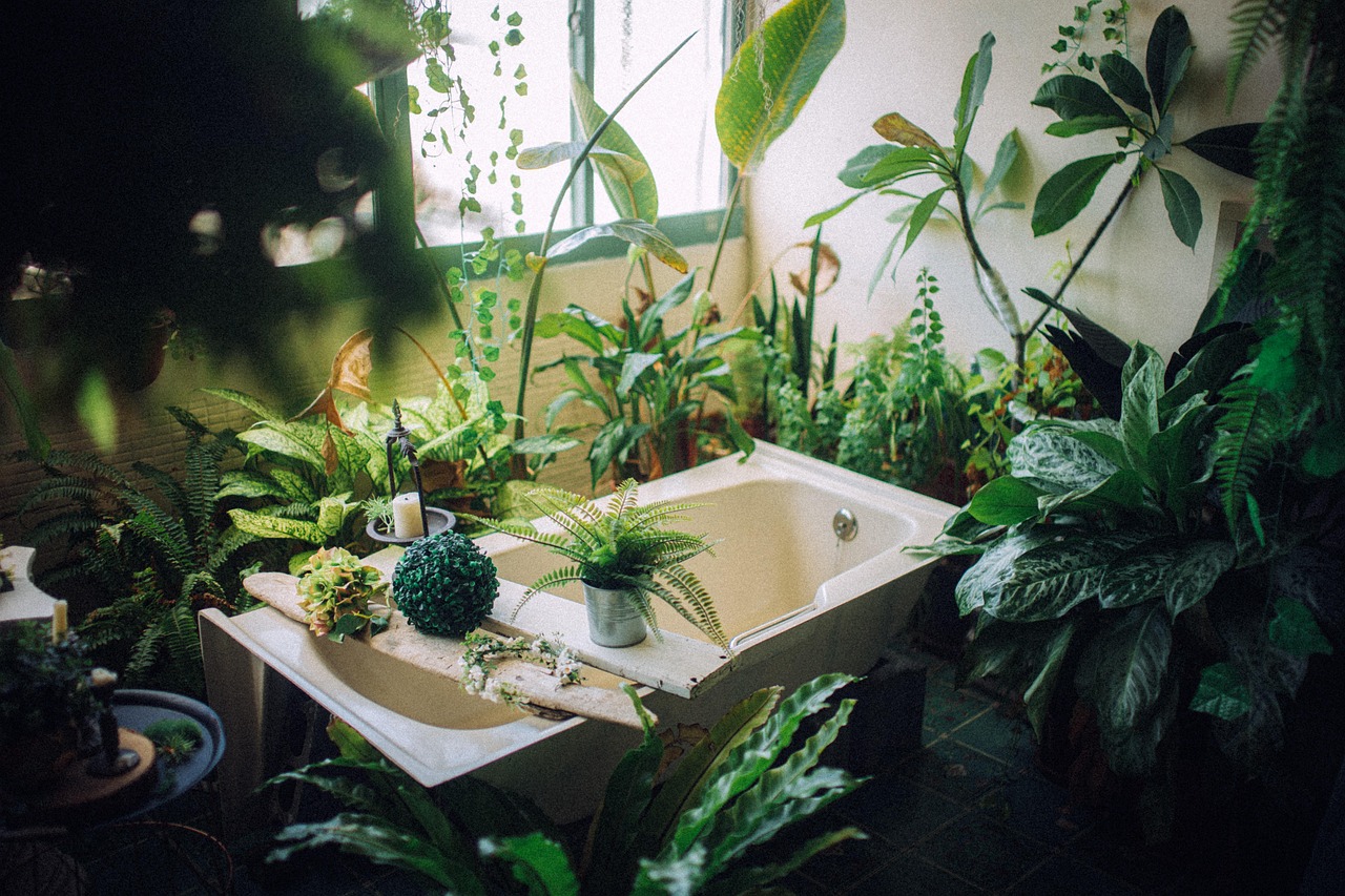 plant, tub, bathroom, nature, hygiene, relaxation, indoors