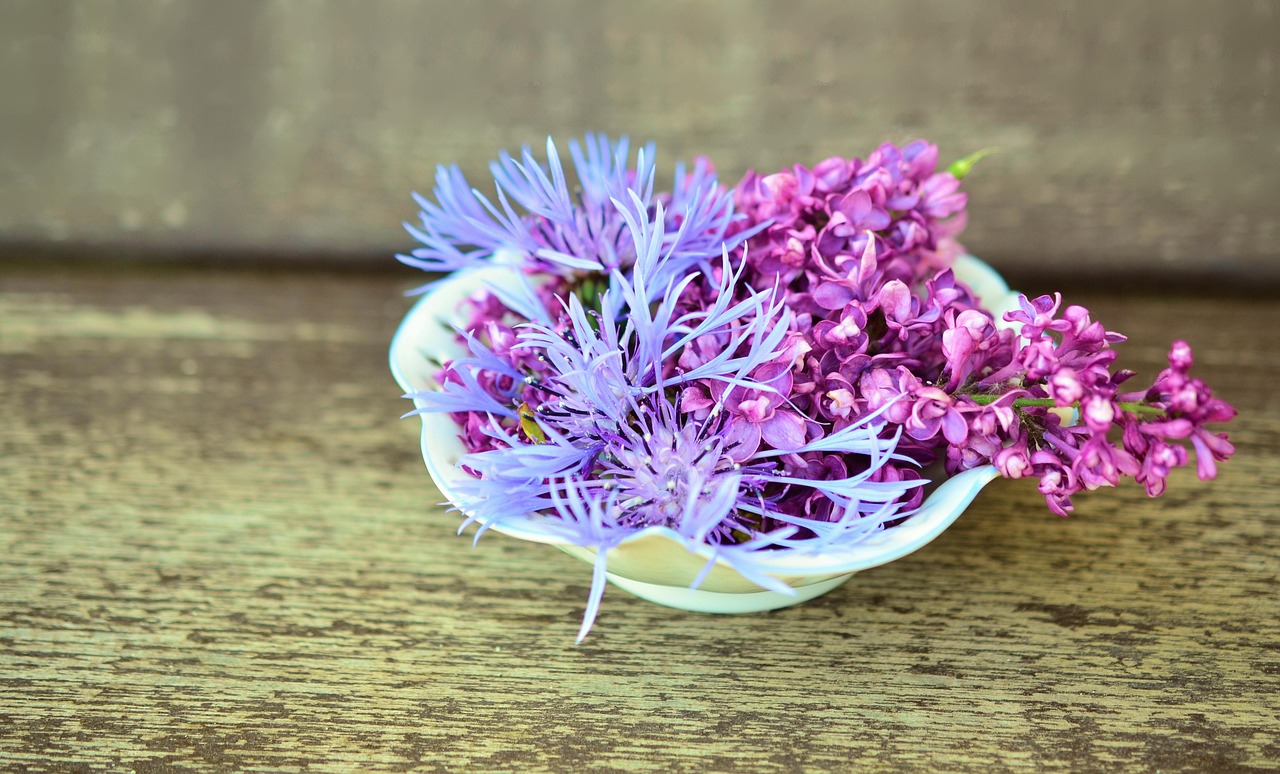 blossoms, flower bowl, wood, tender, decoration, porcelain, lilac, knapweed, tender, lilac, lilac, lilac, lilac, lilac