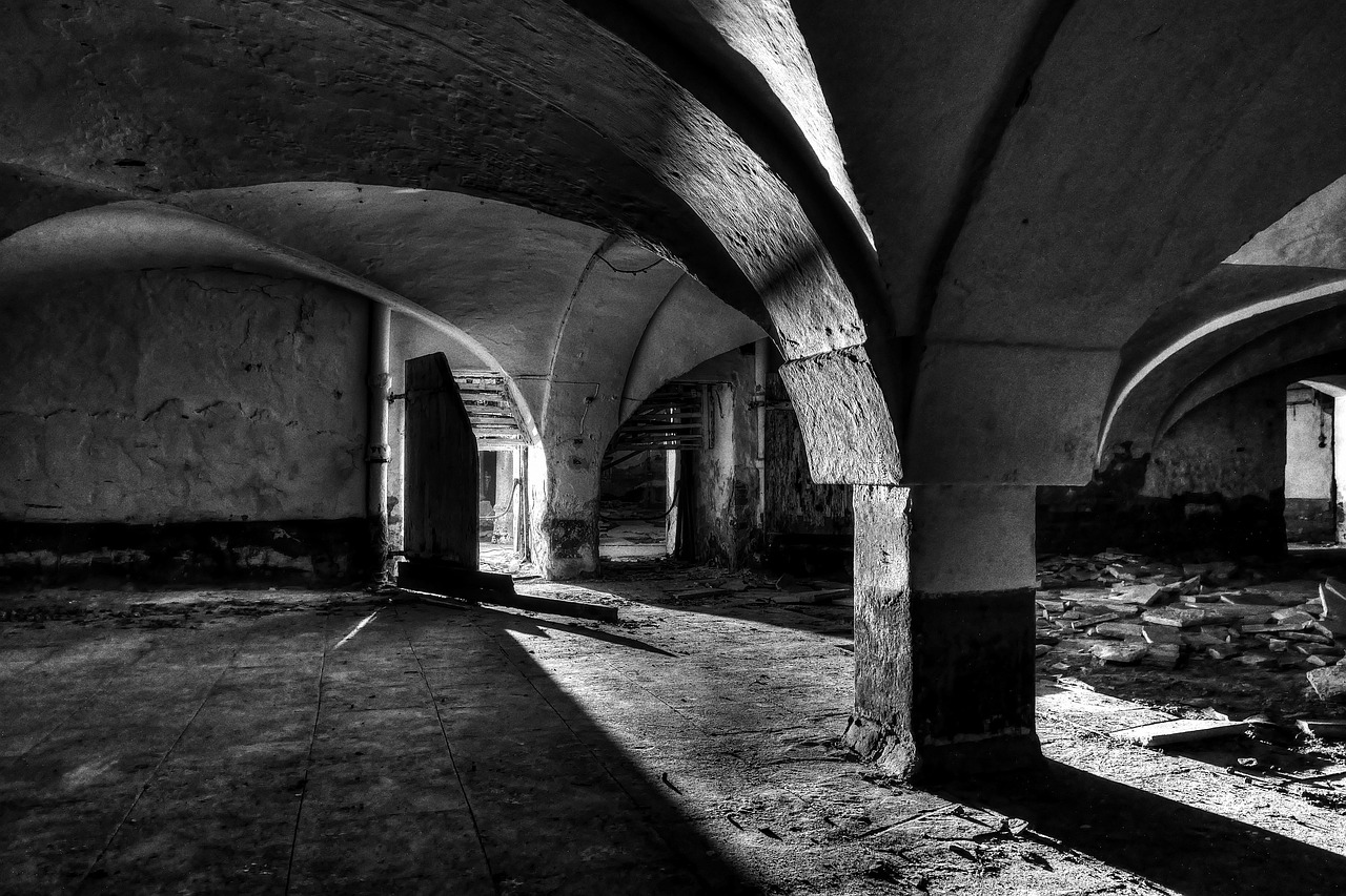 basement, cellar, vault, pforphoto, mood, germany, lostplace, abandoned, architecture, masonry, bavaria, niederbayern