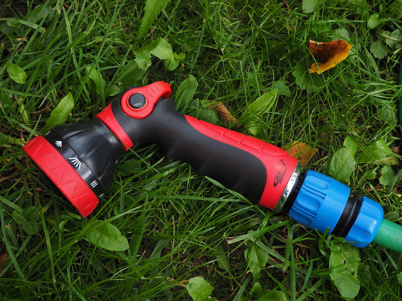 garden shower, garden hose, hose, hand shower, shower, jet, nature, water shower, hose shower, spray shower, injection, multifunction shower, rain
