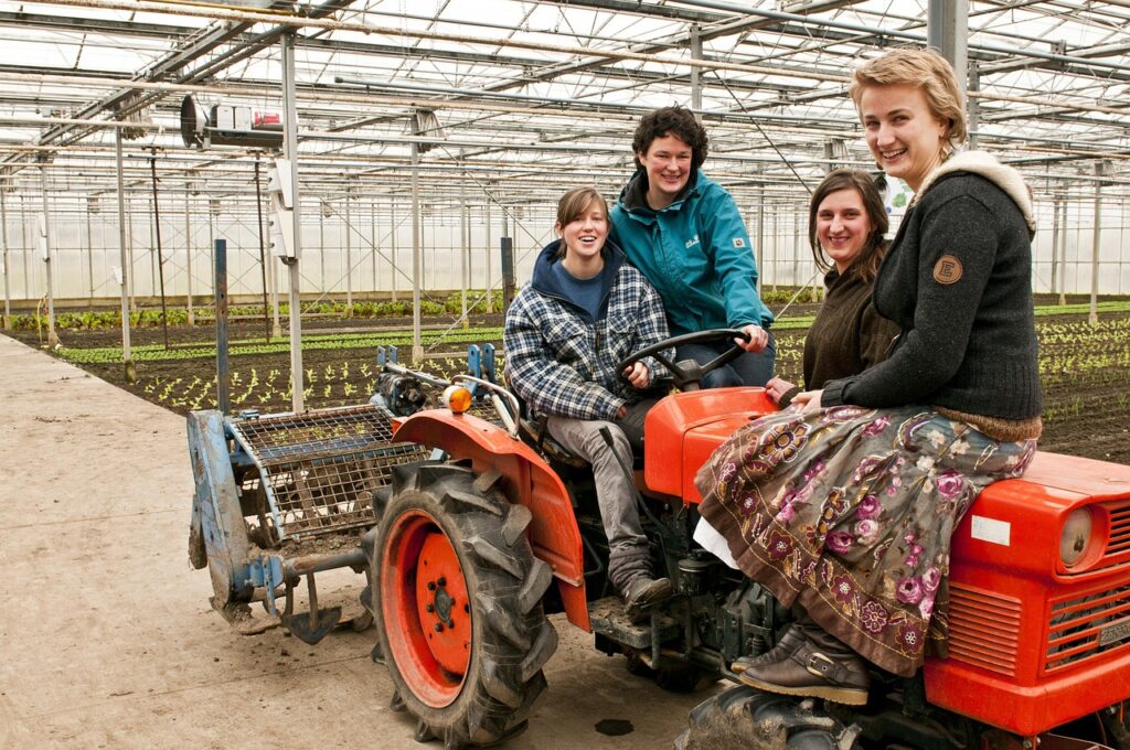 tractor, women, gathered, woman, oldtimer, greenhouse, education, biological, year group 2012, tractor, tractor, tractor, tractor, tractor, gathered, greenhouse, greenhouse, greenhouse, greenhouse, greenhouse