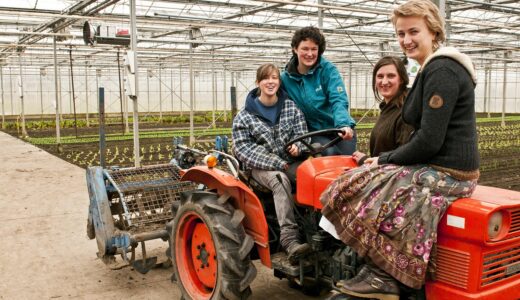 tractor, women, gathered, woman, oldtimer, greenhouse, education, biological, year group 2012, tractor, tractor, tractor, tractor, tractor, gathered, greenhouse, greenhouse, greenhouse, greenhouse, greenhouse