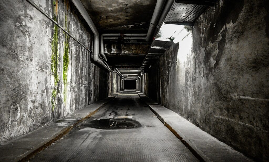 horror, gruesome, halloween, scary, dangerous, surreal, danger, fear of spiders, mystical, evil, witching hour, frighten, spooky, tunnel, ghost, fear, psycho, mischief, ghostly, grim, fantasy world, spenter, irrational, ghosts, nightmare, atmospheric, human, souls, supernatural, anxious, horror tunnel, horror, horror, horror, horror, horror, halloween, tunnel, ghost, ghost