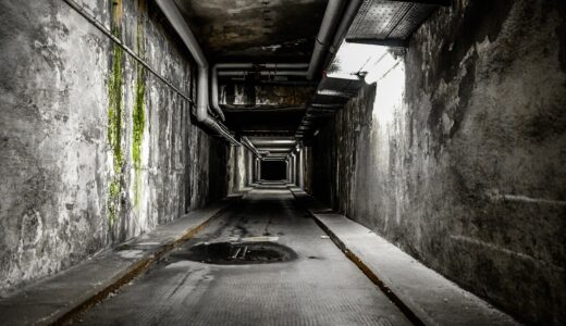 horror, gruesome, halloween, scary, dangerous, surreal, danger, fear of spiders, mystical, evil, witching hour, frighten, spooky, tunnel, ghost, fear, psycho, mischief, ghostly, grim, fantasy world, spenter, irrational, ghosts, nightmare, atmospheric, human, souls, supernatural, anxious, horror tunnel, horror, horror, horror, horror, horror, halloween, tunnel, ghost, ghost