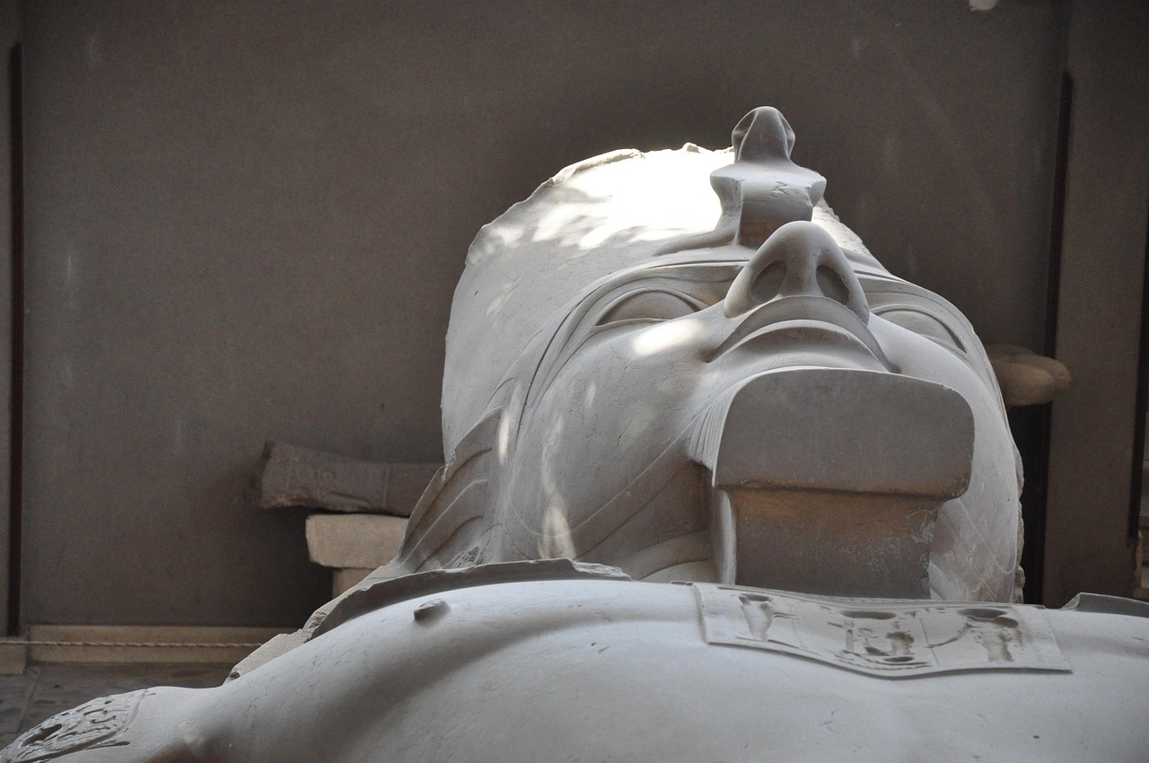 ramses ii, ramses, egypt, travel, statue, pharaoh, antique, memphis, hieroglyphics, unesco, monument, lower egypt, world heritage, archaeology, cairo, nile, sculpture, colossus, face of ramses ii, statue of ramses ii