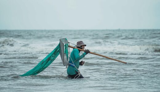 fisherman, man, sea, hardworking, nature, traditional, vietnam, work, outdoors