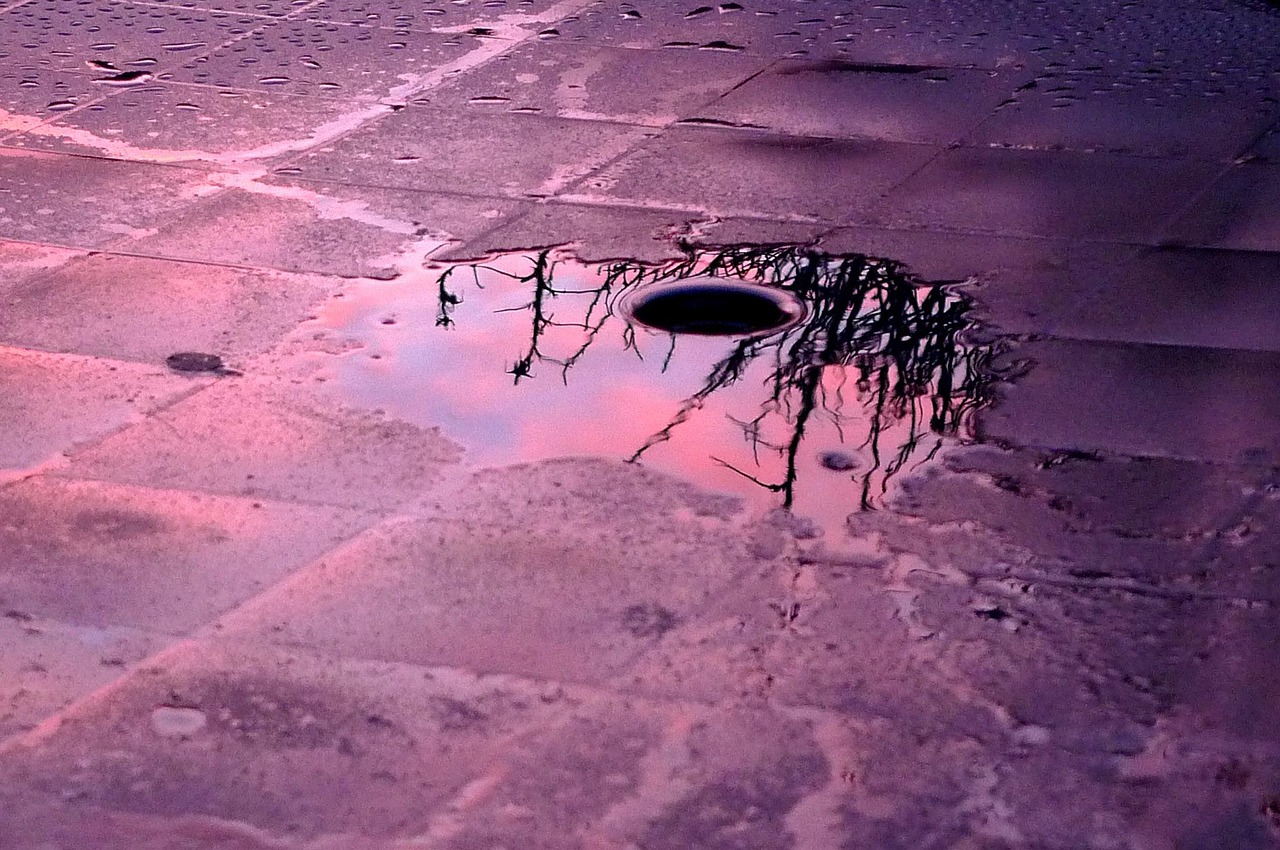 drain, rain, floor, hole, reflection, nature, water, terrace, violet