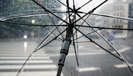 umbrella, rain, wet, weather, cold, nature, raindrops, clear umbrella, city, crosswalk, storm, rainy, parasol, water