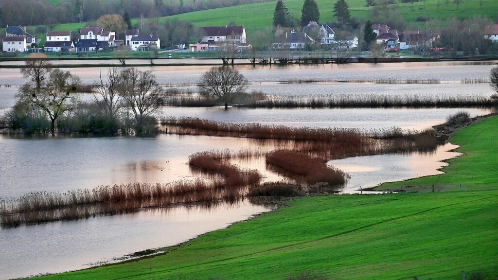 flood, river, water, nature, landscape, trees, sunset, valley, overflow, flood, flood, flood, flood, flood