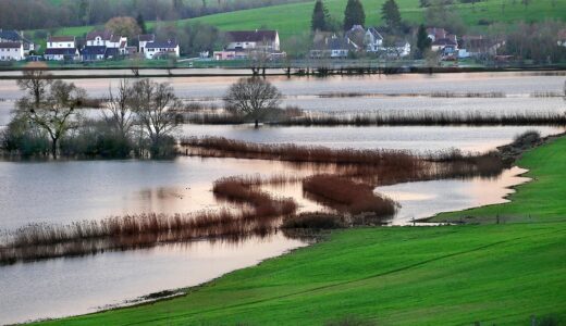 flood, river, water, nature, landscape, trees, sunset, valley, overflow, flood, flood, flood, flood, flood
