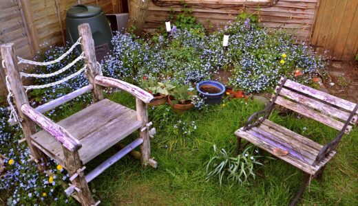 chairs, garden, seat, furniture, outdoor, green, grass, summer, plant, nobody, seating, nature, relaxation, exterior, relax, wooden, armchair, empty, home, lawn, backyard, day, park, yard, gardening, outdoor furniture, rest, sitting, comfortable, backyard, backyard, backyard, backyard, backyard, yard