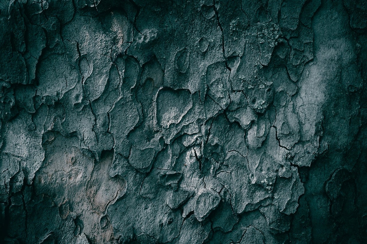 tree, bark, beautiful wallpaper, texture, laptop wallpaper, windows wallpaper, forest, nature background, rough, pattern, crack, tree bark, hd wallpaper, nature, textured, 4k wallpaper 1920x1080, dark, wood, planetree, dark background, close up, wallpaper 4k, grunge, nature wallpaper, backdrop, 4k wallpaper, desktop backgrounds, wallpaper, old, aged, mac wallpaper, free wallpaper, wallpaper hd, sycamore, abstract, trunk, full hd wallpaper, free background, background, cool backgrounds, backgrounds, beautiful nature, detail