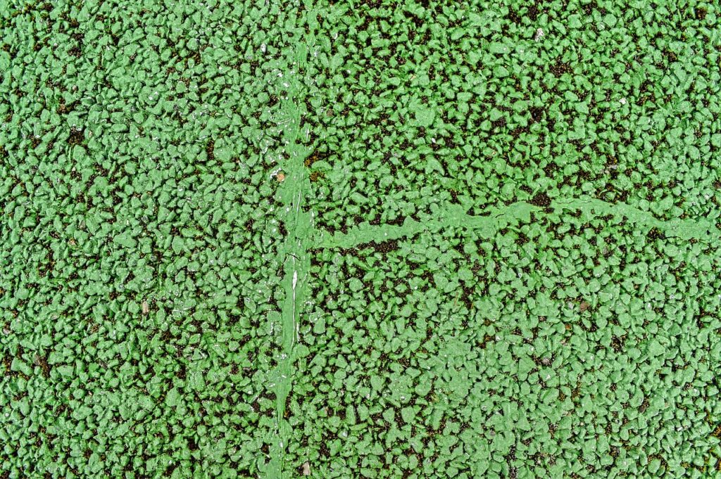 texture, bitumen, tar, asphalt, pavement, area, road, granular, painting, colorful, green