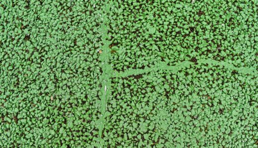 texture, bitumen, tar, asphalt, pavement, area, road, granular, painting, colorful, green