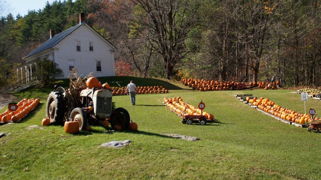 new england, farm, pumpkins, maine, tractor, fall, autumn, new england, new england, new england, new england, new england