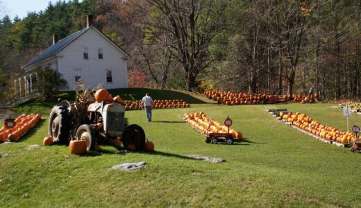 new england, farm, pumpkins, maine, tractor, fall, autumn, new england, new england, new england, new england, new england