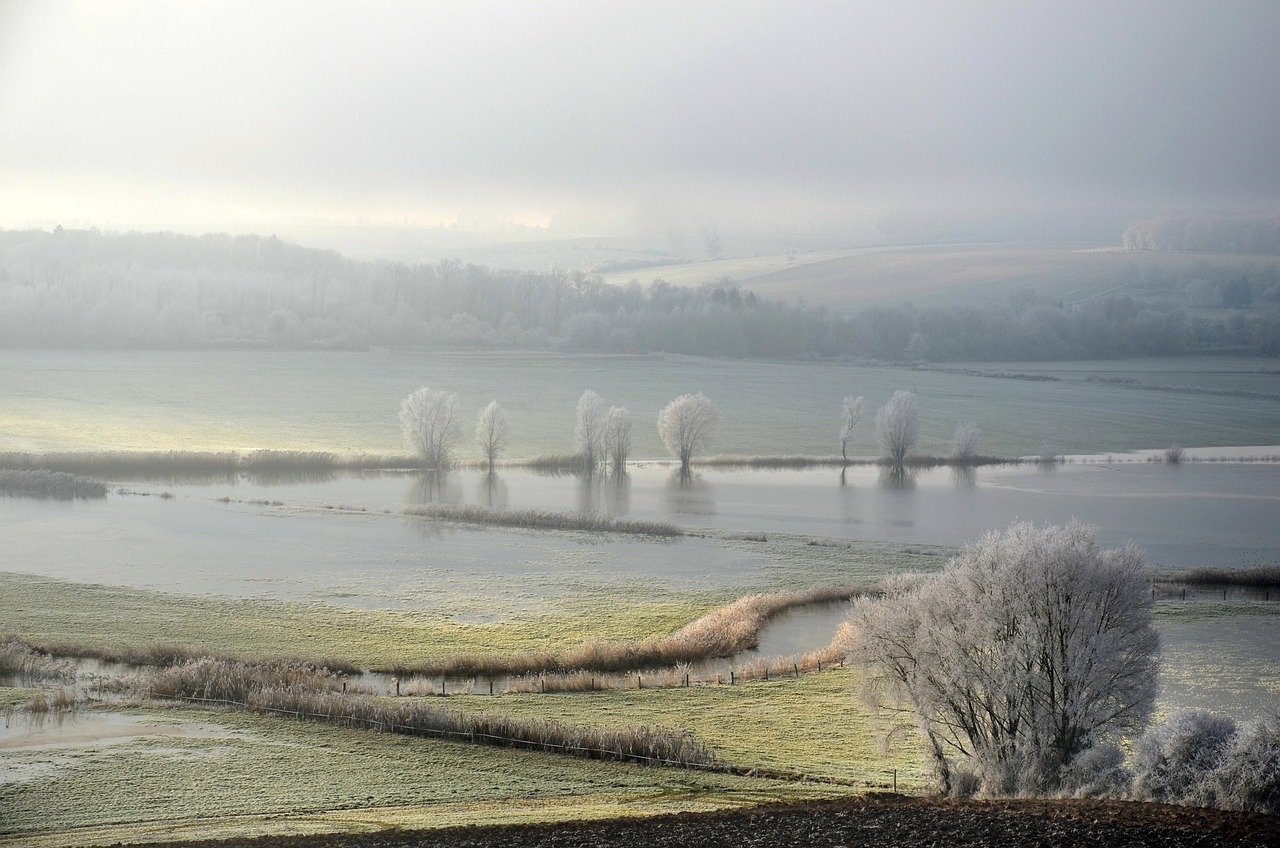 frost, winter, cold, frozen, nature, ice, season, flood, fog, river, weather, the water, water